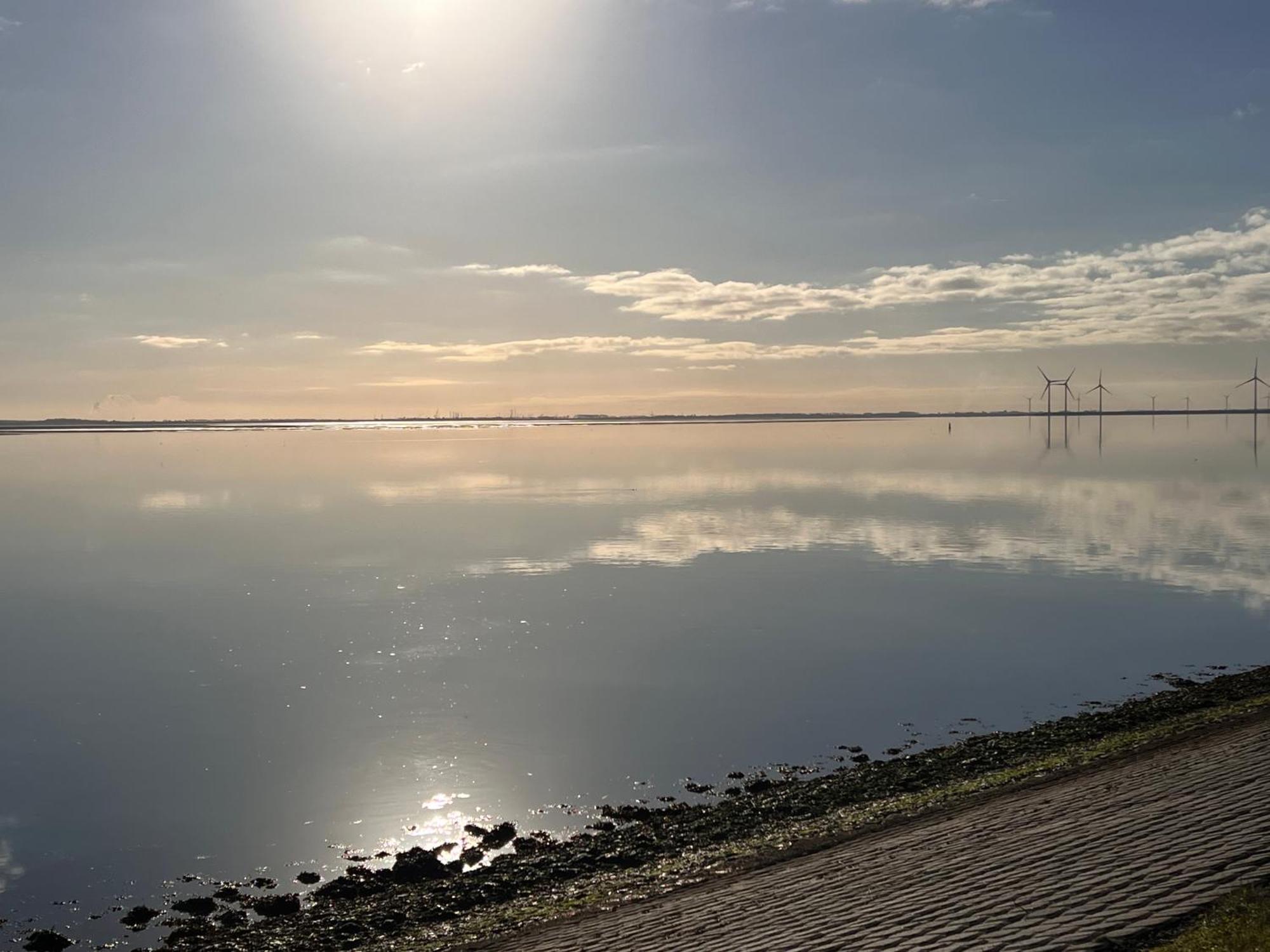 Genieten Aan De Zeeuwse Kust Bed & Breakfast Burgh-Haamstede Dış mekan fotoğraf