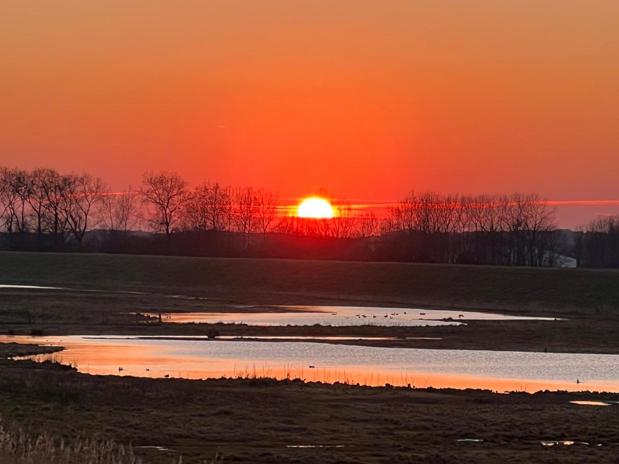 Genieten Aan De Zeeuwse Kust Bed & Breakfast Burgh-Haamstede Dış mekan fotoğraf